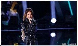 凤凰卫视爆料李玟事件视频,凤凰卫视独家爆料，真相背后引人深思