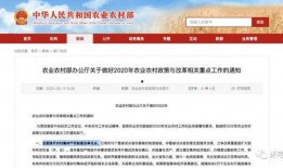 今日一线爆料内容怎么写,娱乐圈最新爆料内容大起底