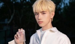 张婧仪陈飞宇圈内爆料,揭秘娱乐圈背后的真实故事