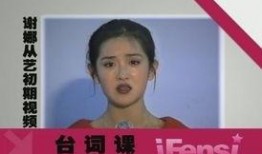 谢娜爆料吴昕家暴视频,真相背后引发热议