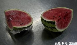 娱乐吃瓜菌,吃瓜菌带你探秘明星幕后故事