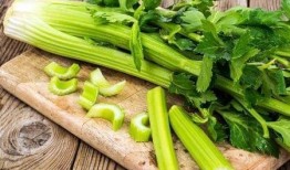 小芹菜爆料者视频大全,揭秘幕后真相