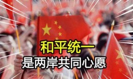 广视新闻怎么爆料台湾人,揭秘爆料新途径