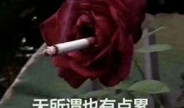 外国人看黄泉爆料视频,外国人视角下的神秘爆料视频解析