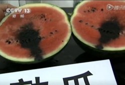 怒江网红的吃瓜视频,揭秘网络热点背后的真相