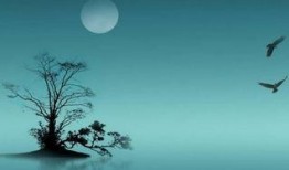 热点爆料视频绝美古诗词,穿越时空的美丽邂逅