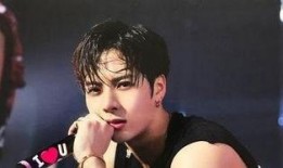 香港女星爆料王嘉尔视频,揭秘背后真相与争议