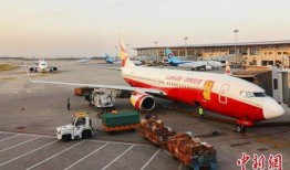 石家庄航班爆料事件最新,揭秘航班异常事件背后的真相