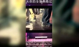 娱乐八怪爆料视频合集,视频合集大放送，笑料百出幕后故事全解析