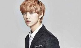 爆料鹿晗婚礼事件视频,独家视频曝光惊人细节