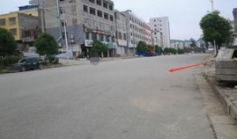 广西崇左网友爆料新闻最新,突发事件引发关注，详情即将揭晓