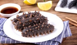 烟台海参爆料视频播放大全,视频大全揭秘行业真相