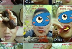 野生菌爆料视频大全集播放,探寻菌林奥秘，尽享美味之旅