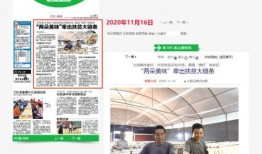 广西卫视旅游爆料新闻报道,探寻广西独特旅游魅力，带你领略壮美风光