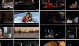 在线观看放,在线观看的无限魅力