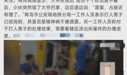 地铁判官被爆料视频播放,揭秘地铁安全与秩序的守护者