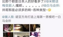 白马酒店爆料视频大全,揭秘酒店内幕与真实故事