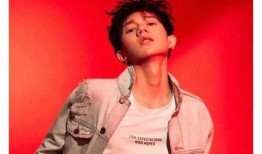 今日爆料王源,揭秘偶像背后的故事