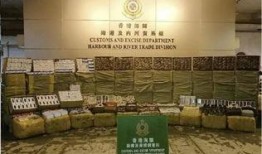 香港海关爆料事件最新,揭秘走私黑幕与监管漏洞